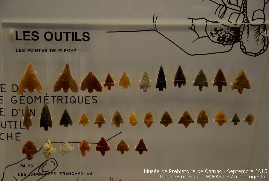 Pointes de flèches - Musée de Préhistoire de Carnac | Pierre-Emmanuel LENFANT - Archeologia.be