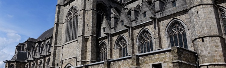 Belgique - "Collégiale Sainte-Waudru de Mons : une "restauration" illégale aux conséquences dramatiques"